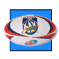 View our range of Soccer & Footballs